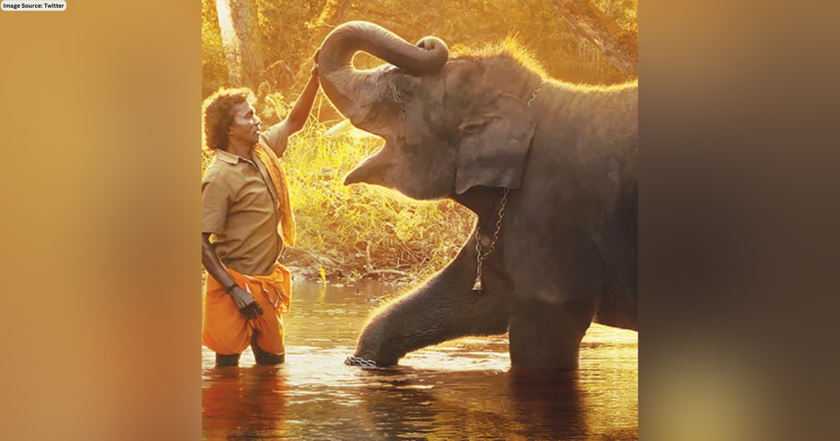 India wins Oscar: Guneet Monga's 'Elephant Whisperers' wins award in Best Documentary Short Film category